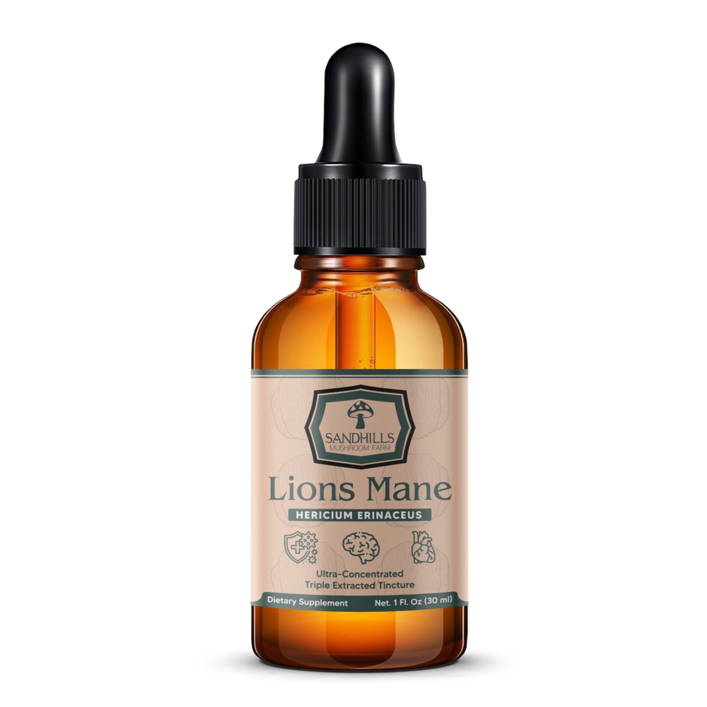 Lion's Mane Triple-Extracted Tincture (2oz) – Pure Fruiting Body